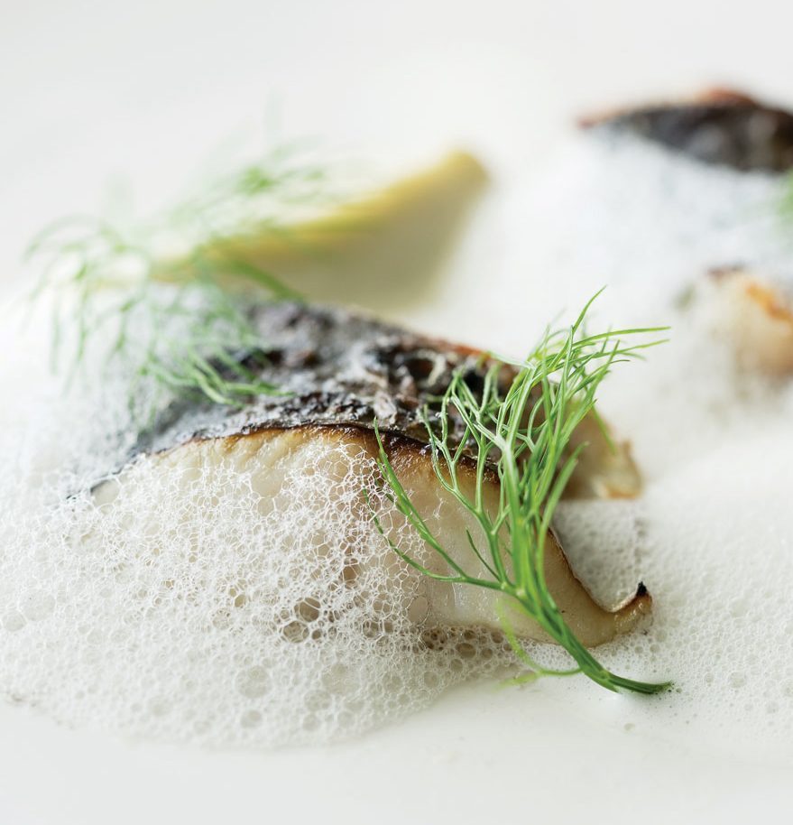 Chef-John-Vincent-Troiano