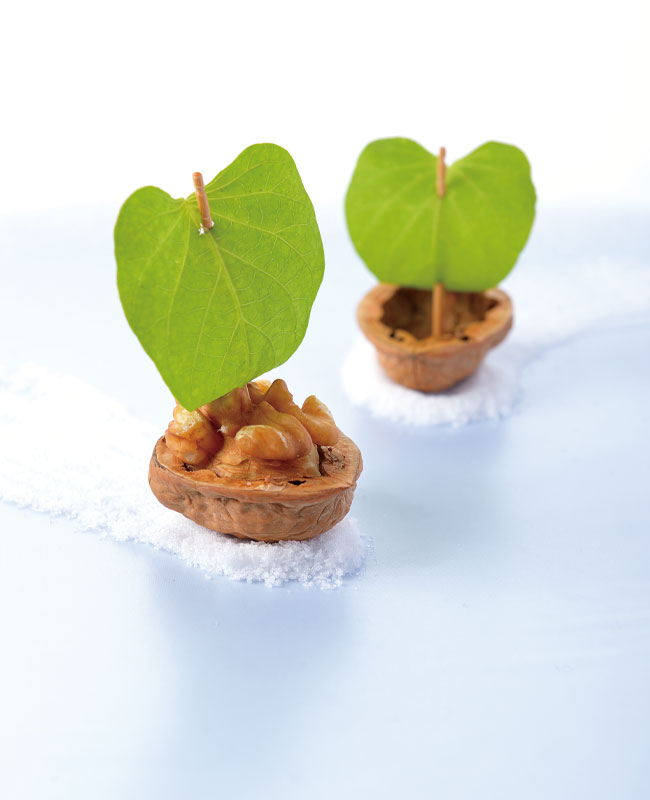 Walnut-Recipe