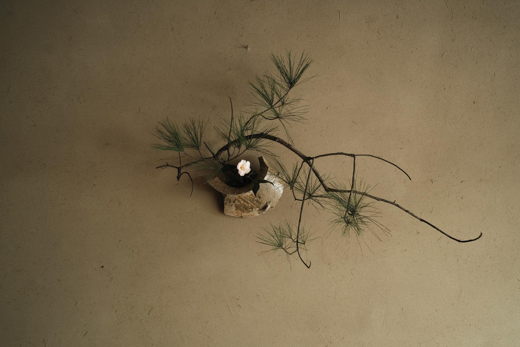 Ding Fengru Floral Art Ikebana