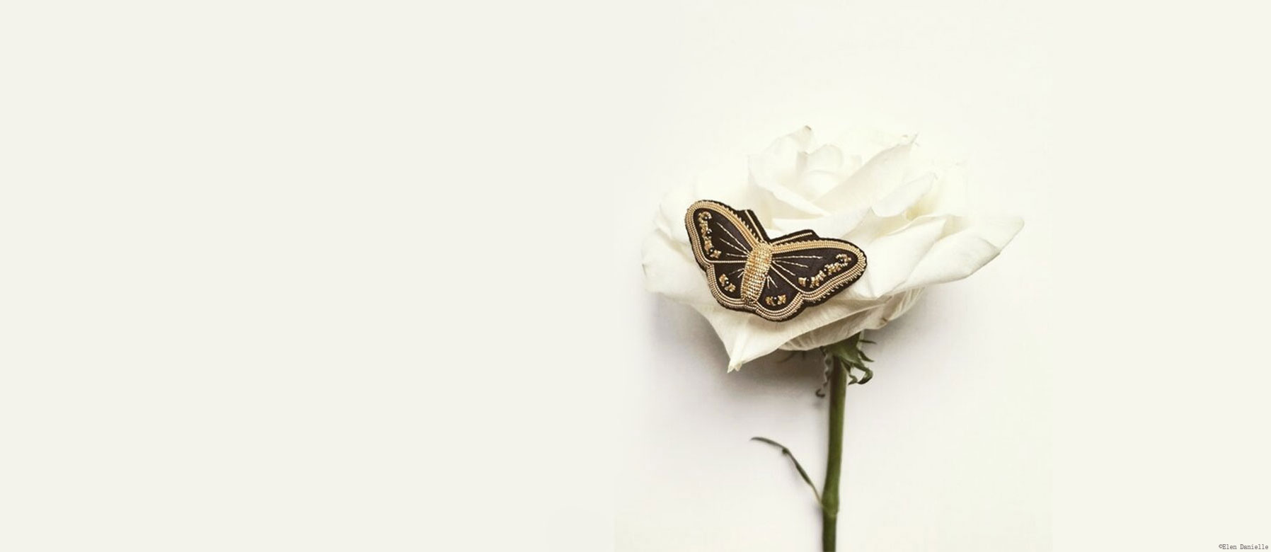 brooch-pin-4