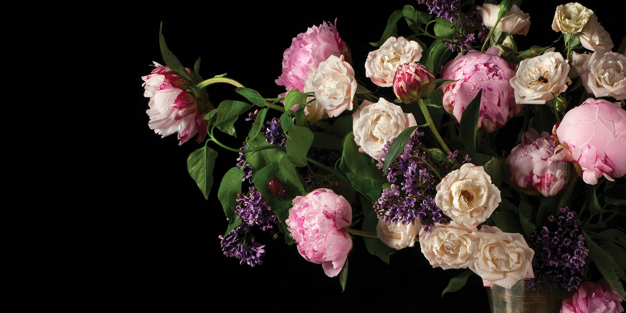 Paulette-Tavormina-photography-old masters paintings-