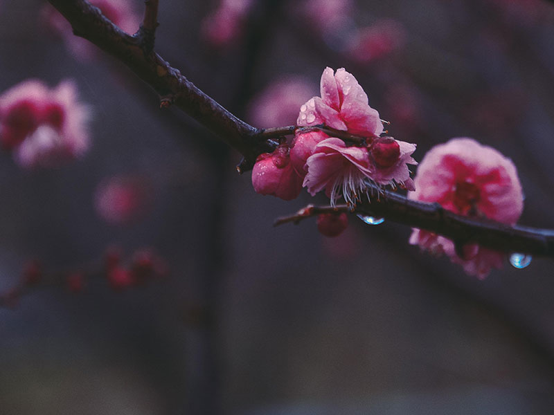 poems-about-hope-3