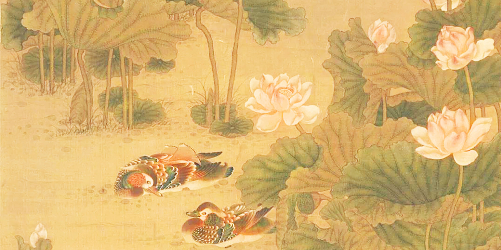 Lotus flower meaning