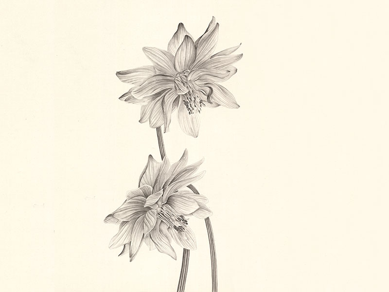 Yirong-Zhang-Painting-5