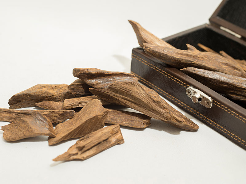 Oud-perfume-19