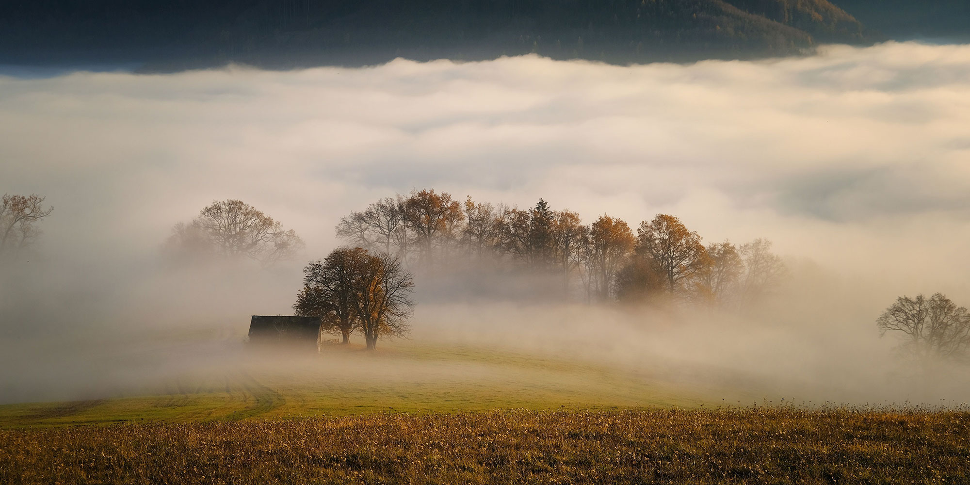 poems about autumn