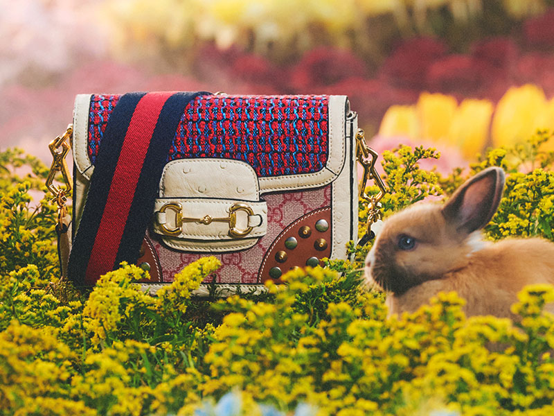 Gucci-Lunar-New-Year-9