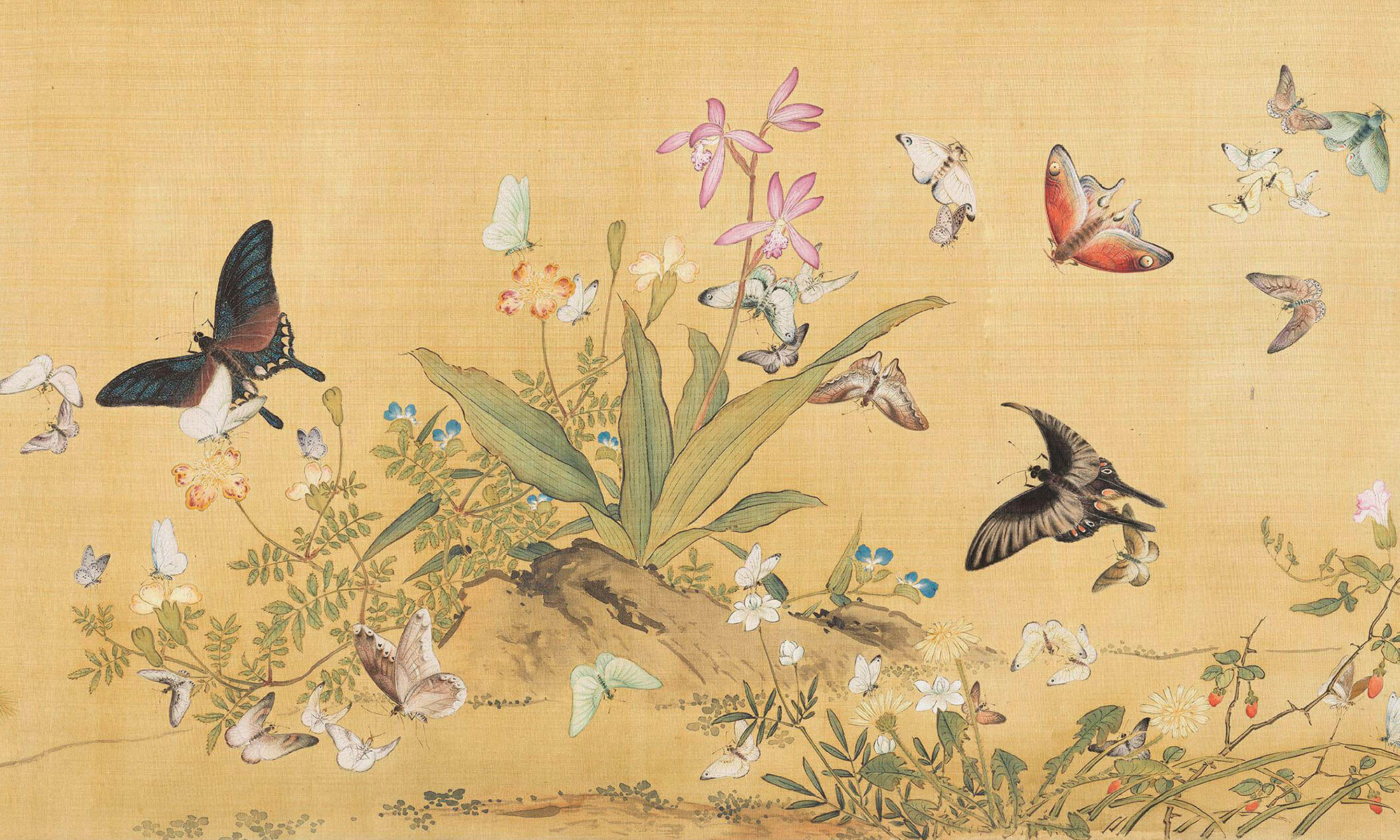 butterfly-jewelry--32