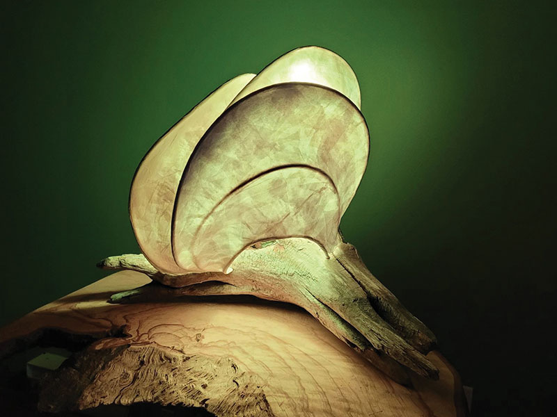 light-sculpture-2