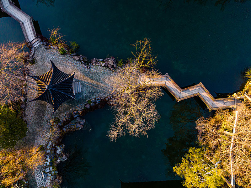 Chinese gardens 3