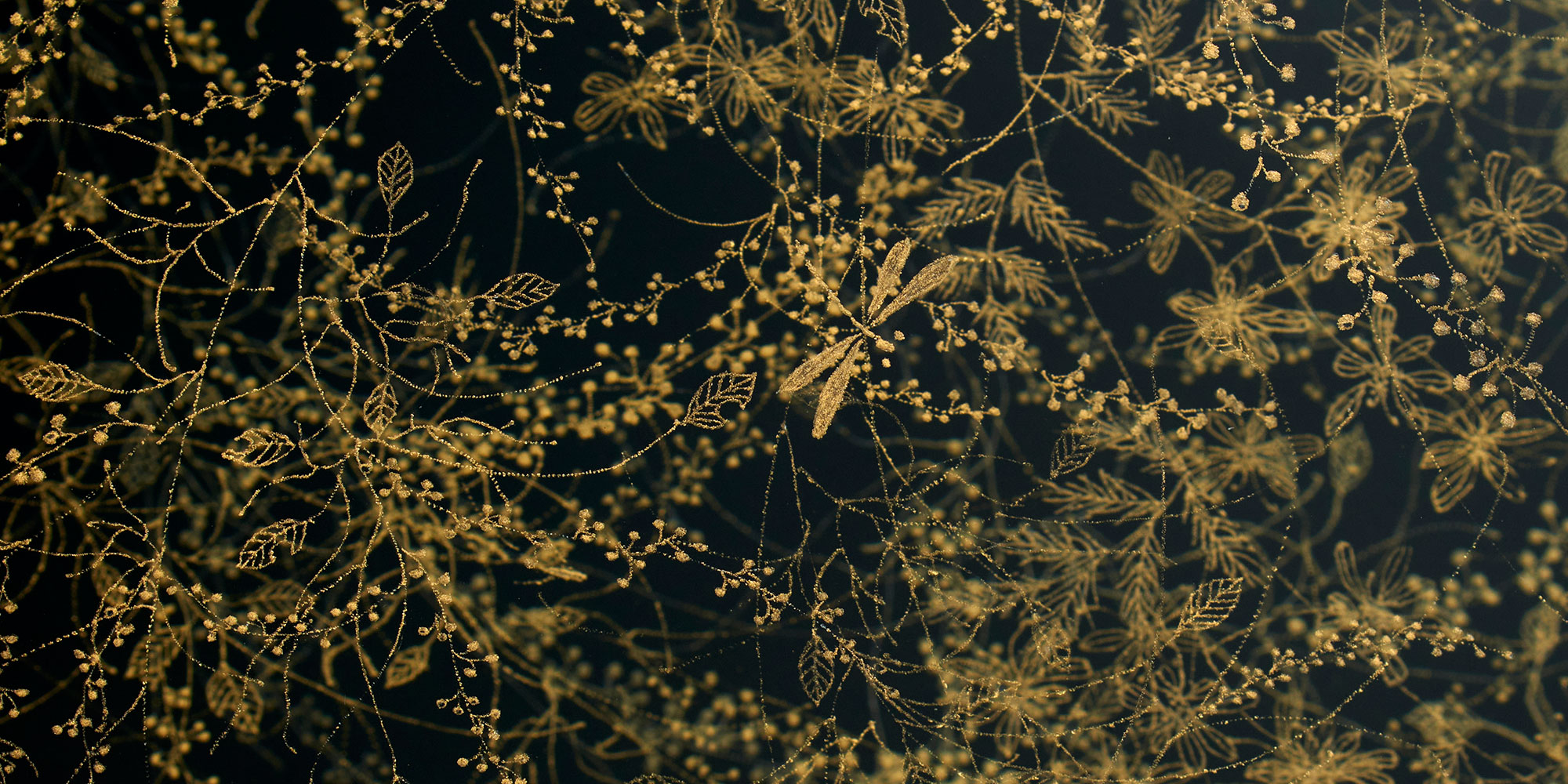 flower art 2