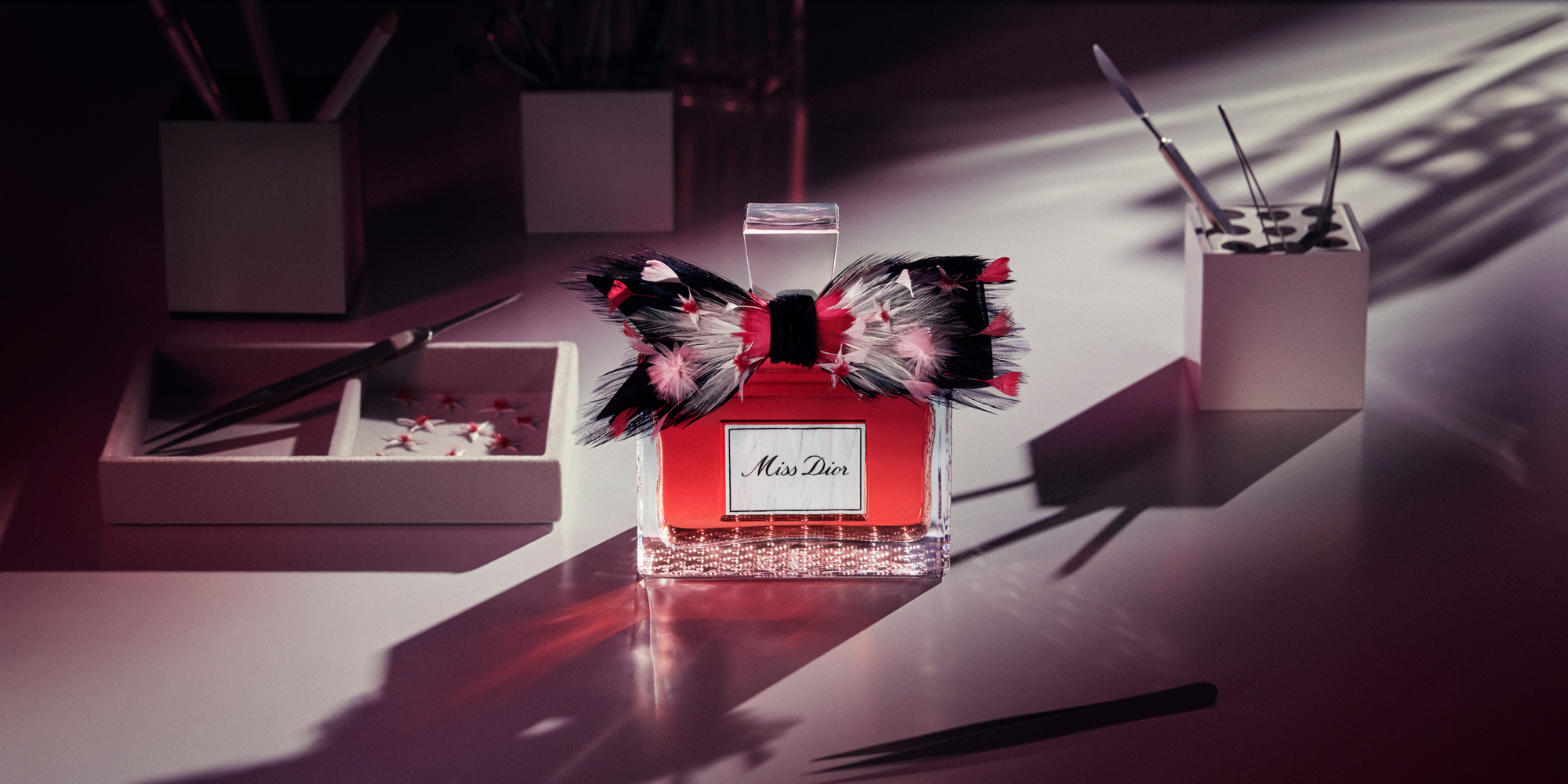 Miss-Dior-Essence-cv