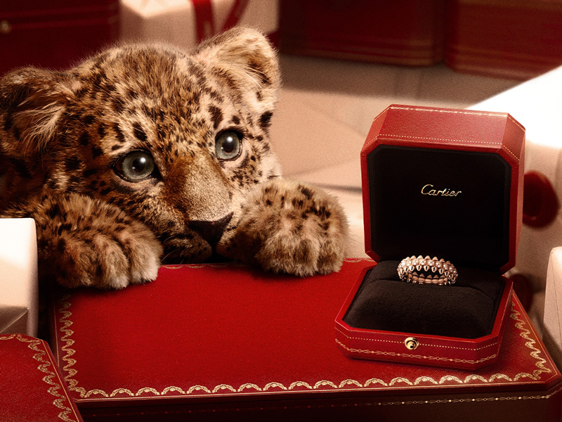 jewellery-gift-1