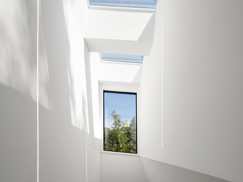 north-york-ravine-6